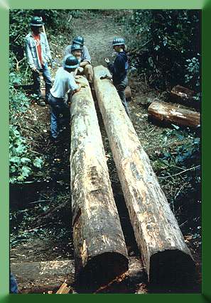 Mt. Baker Ranger District, WA.  Beginning solid stringer bridge.