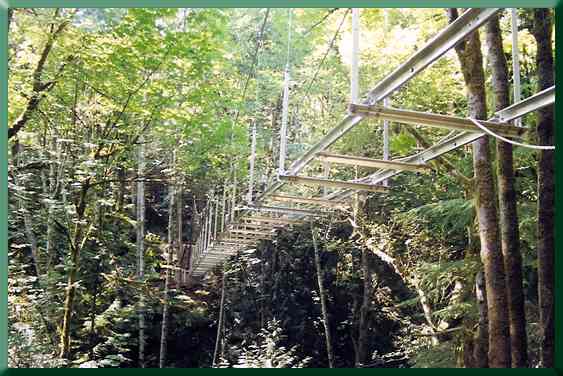 Superstructure showing floor beams, stringers and suspenders.