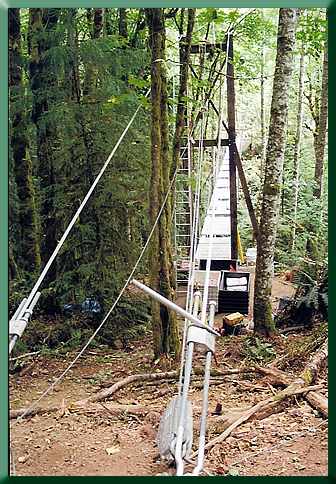 View of bridge from the west.