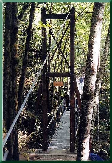 Islandwood Bridge, open for business.