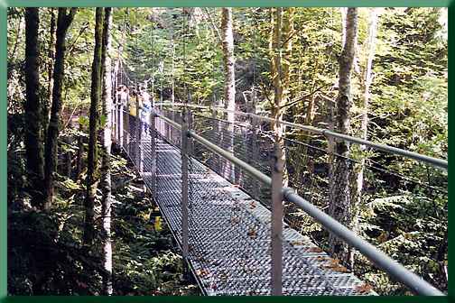 View of bridge from the west.
