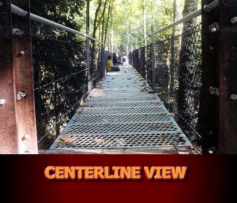 Centerline view from west abutment.
