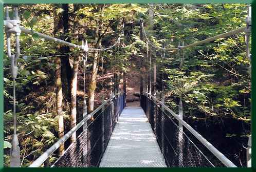 Islandwood Bridge.