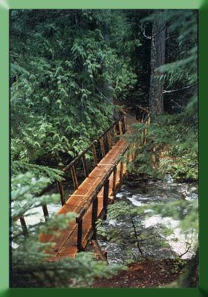 Kachess Campground Bridge, WA, 1989.