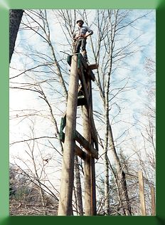 Carroll Vogel on tower top