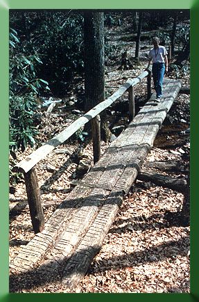 Mt. Rogers NRA bridge several years after construction.  This bridge is built of White Ash, the same timber used in baseball bats.