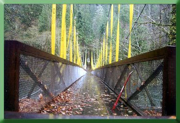 Bridge centerline view after stabilization is complete.