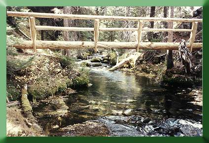 Bridge at West Cultus Lake, OR, built by former student John Schubert and trail crew, 1991.