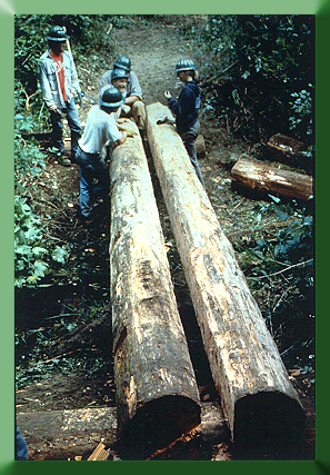 Mt. Baker Ranger District, WA. Beginning solid stringer bridge.