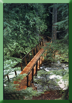 Kachess Campground Bridge, WA, 1989.
