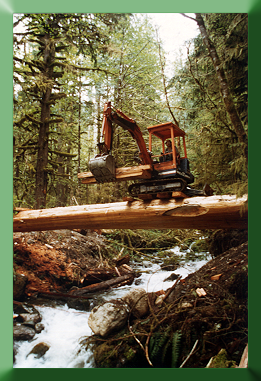 Carroll Vogel moving Kubota across Silver Creek Bridge Stringers before installation of decking.