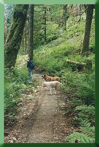 Jennifer Knauer with Filson and Dylan.