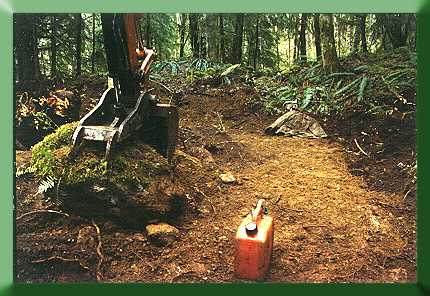 Kubota placing rock "green side up" adjacent to finished trail tread.