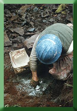 Russ Dalton loading ANFO and Dynamite in drill hole.