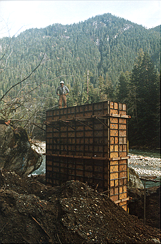 Carroll Vogel atop tower abutment form.