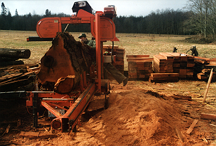 Roger Babcock milling bridge decking with his Wood Mizer.
