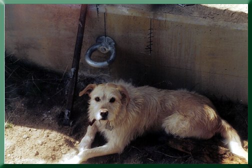 The legendary Filson, below new sway cable attachment.