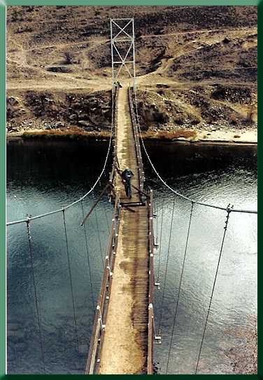 Forest Service employee checking the damage.