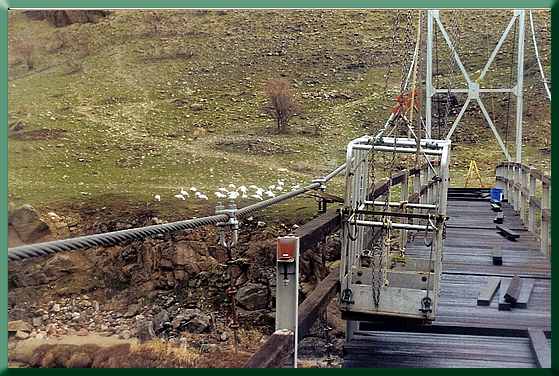 The basket and the bridge, with snow geese foraging in the background.