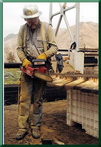Step 4:  A little chainsaw sculpture/clean up.