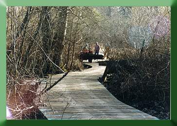Boardwalk alignment after construction.