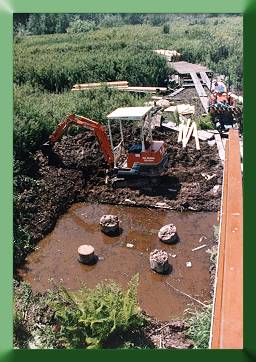 Top of bridge piles, prior to setting of concrete cap.