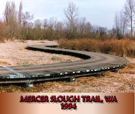 An interpretive wetland trail in Bellevue, WA