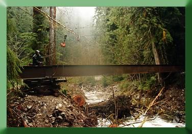 Blum Creek Stringer.