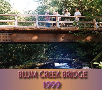 100' span steel stringer bridge with split cedar deck and railing.