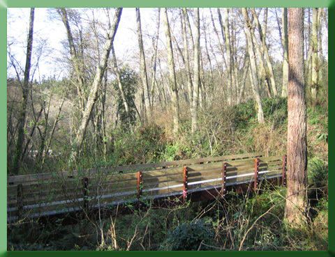 Oblique view of Carkeek Bridge