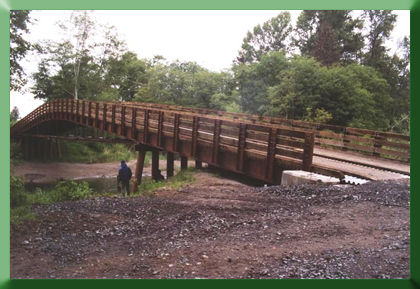 Oblique view of Deepwater Bridge