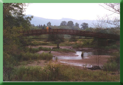 View of Deepwater Bridge from downstream