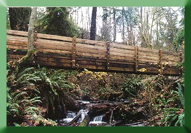 Steel bridge with deck, fascia, and railing.