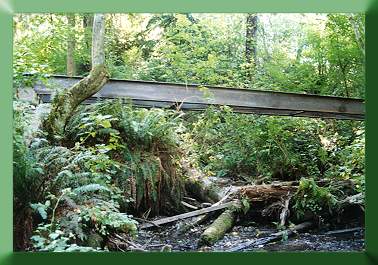 Elevation view of steel superstructure.